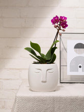 orquidea-baby-maceta-concreto-forma-cara-decoracion-plantas-de-interior-regalos-para-mujer-habibi-plantitas.jpg